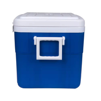 Glacière de rangement des aliments pour pique-nique en plein air personnalisée en usine Glacière isolée en plastique 45L de grande capacité pour le camping avec poignée