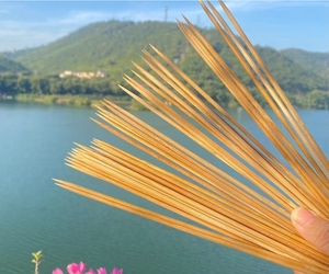 Brochettes de barbecue alimentaires personnalisées jetables, bâtons de bambou, bâtons naturels de haute qualité/bâtons de bambou 2MM - Product Image 3