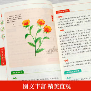 [カラーイラスト] 著名な華佗先生の処方集 伝統的な中国医学 医学書 健康 - Product Image 3