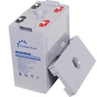 Baterai Katoda LiFePO4 Fortune Power NP600-2 Tipe Pelat Tubular 2V OPZV 500ah 600ah 800ah 1000ah untuk Penyimpanan Tenaga Surya