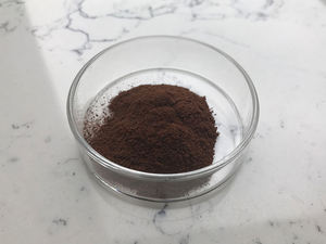 Insen fabrika kaynağı Coleus Forskohlii bitki özü Forskolin - Product Image 6