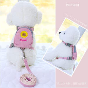 Sac à dos Teddy Bichon pour animaux de compagnie avec corde de traction Harnais de poitrine pour chat et chien pour l'entraînement à la marche Sac et chaîne portables pour animaux de compagnie - Product Image 2