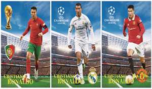 Oltre 1000 Poster Lenticolari 3D con Effetto Flip di Stelle Popolari, Vendita all'Ingrosso EXW, Consegna Rapida, Poster 3D in Movimento in PET - Product Image 4