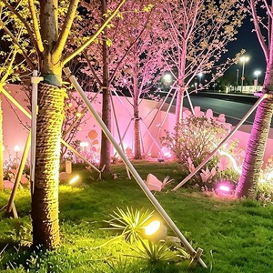 RGB colorato esterno impermeabile illuminazione dell'albero 50W giardino Led proiettore paesaggio pannocchia faretto AC220V luce di proiezione esterna - Product Image 3