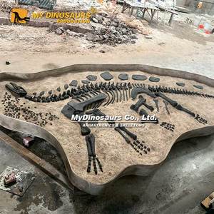 สถานที่ขุดค้นฟอสซิลไดโนเสาร์ของฉัน โครงกระดูกไดโนเสาร์ที่สมจริง - Product Image 6