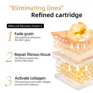 Crème Réparatrice ADN PDRN pour Vergetures et Cicatrices – Traitement Corporel Régénérant Force Clinique – Crème Estompante - Product Image 5