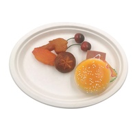 Services de vaisselle Assiettes en carton Ensemble d'assiettes biodégradables Assiettes jetables bon marché Récipient alimentaire en vrac pour fête Bagasse