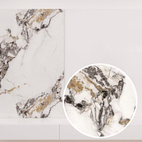 Feuille de PVC souple effet marbre, durable et facile à nettoyer, pour remplacer les carreaux muraux de salle de bain