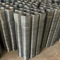 Grillage en fil de fer soudé en acier galvanisé à chaud pour clôture de bétail et volailles, à mailles carrées, en PVC, vente en gros