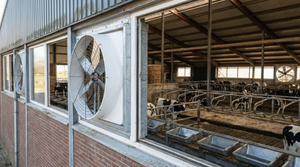 Ventilador de Extracción para Ganadería de 48 Pulgadas, Duradero, con Motor de Imán Permanente, Montaje en Pared, Eléctrico, para Ventilación de Establos y Granjas - Product Image 2