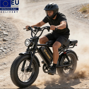 Bicicleta Eléctrica Híbrida Urbana de 750w para Adultos, 48v 20Ah, Envío Rápido desde Almacén Europeo, Bicicleta Eléctrica para Hombres - Product Image 1