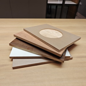 E0 tiêu chuẩn 18mm Bạch đàn gỗ phim phải đối mặt với bạch dương Veneer ván ép tấm cho đồ nội thất hiện đại sử dụng - Product Image 4