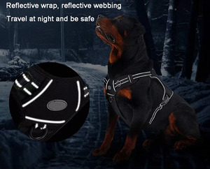Gilet tactique durable pour animaux de compagnie <span class=keywords><strong>manteau</strong></span> de refroidissement pour <span class=keywords><strong>chien</strong></span> poitrine d'entraînement pour animaux de compagnie en plein air <span class=keywords><strong>harnais</strong></span> et laisses pour chiens - Product Image 2
