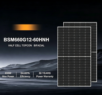 Panneau solaire IP68 660W TOPCon, module bifacial, haute résistance à la charge, 5400Pa, résistance à la neige, pour désert, ferme, côte