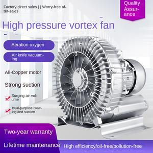 Wenjin Hochdruck-Ringluftgebläse mit Edelstahlblättern und Aluminiumlegierung für Fischteich- und Abwasserbelüftung Modell 120W/220V - Product Image 2