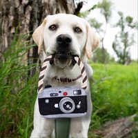 Jouets à mâcher pour chats INS Hot Fashion, jouet en peluche noué en forme d'appareil photo, accessoires pour chiens, jouets sonores pour chiens