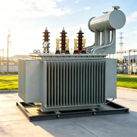 Transformateur immergé dans l'huile triphasé S11 800KVA, applications d'électrification industrielle et rurale, transformateur de puissance