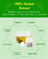 Thé minceur aux feuilles de Moringa pour nettoyer le côlon, détoxifier, aplatir le ventre et soulager la constipation