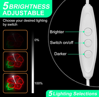 Enseigne néon Hibiscus, lumière LED en forme de fleur d'hibiscus, décoration florale hawaïenne |   Mur de fleurs tropicales à intensité variable alimenté par USB