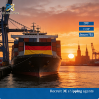 Agente de Envío Marítimo Express, Servicio de Despacho de Aduanas en el Puerto de Róterdam, Alemania, Transitario, Entrega Puerta a Puerta DDP