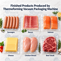 Machine d'emballage sous vide par thermoformage entièrement automatique pour saucisses grillées, steaks, filets de poulet, saumon
