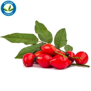 Proveedor de aceite de rosa mosqueta en la India/aceite esencial de rosa mosqueta 100% orgánico - Product Image 1