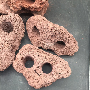 Waterplant Vulkanische Rotsornamenten Dubbel Gat Milieuvriendelijk Aquarium Decoratieve Landschapsarchitectuur Stenen Ring Woonkamer Vis Vreugde - Product Image 1