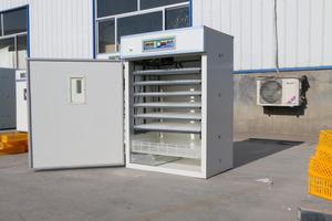 1000 Trứng Tự Động Lồng Ấp Trứng Gà Để Bán - Product Image 2