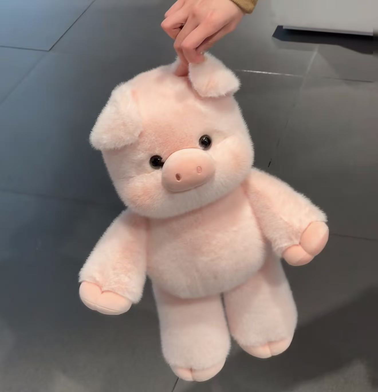 1pink pig