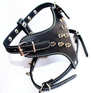 Großhandel für Haustierzubehör: PU-Mode-Hundehalsband mit Nieten im Punk-Stil, Bissfest, mit Leine und Brustgurt-Verschluss - Product Image 1