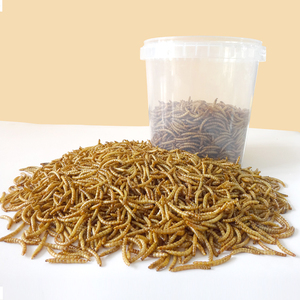 Hoge Voeding Gevogelte Kip Vogel Feed Gedroogde Meelworm 800G - Product Image 4