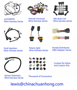 Harness Electric Harness 2 Pin konektor kabel Plug untuk VW 1.5mm Auto Temp Sensor Plug - Product Image 6