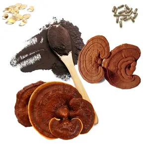 Ganoderma Lucidum % 100% organik bitkisel hücre duvarı kırık takviyeleri Reishi mantarı Spore tozu