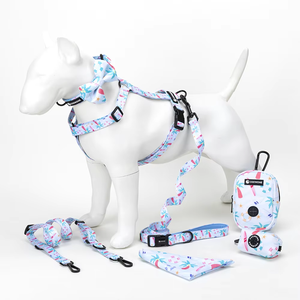 Coowone Fabrik's Bestseller Maßgefertigtes Neopren-Hundegeschirr und Leinenset Personalisiertes Welpenzubehör - Product Image 2