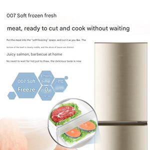 <span class=keywords><strong>Réfrigérateur</strong></span> électrique à trois portes de 219 L avec congélateur pour usage domestique - Product Image 5