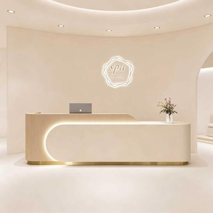 Modern Light Luxury Front Desk, <b>Reception</b> <b>Counter</b>, Cashier Cabinet for Beauty Salon, Apparel Shop & Training Center - Product Image 1
