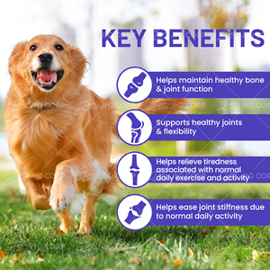 Oem nhãn hiệu riêng hip và doanh chăm sóc sức khỏe bổ sung với clucosamine <span class=keywords><strong>MSM</strong></span> & Chondroitin mềm nhai cho chó cưng - Product Image 2