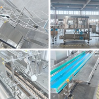 LWT Automatische Champignonverwerkingslijn met was-, vul- en pekelingsysteem, 500 kg/uur voor conservenfabrieken van groenten, fruit en voedingsmiddelen.