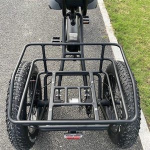 Vélo tricycle <span class=keywords><strong>couché</strong></span> cargo électrique à trois <span class=keywords><strong>roues</strong></span> personnalisé en gros pour la livraison - Product Image 5