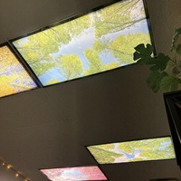 Couvre-lampes fluorescents pour plafonniers de salle de classe 2x4 pieds, autocollants décoratifs magnétiques, diffuseurs d'éclairage de bureau, couvre-plafonds