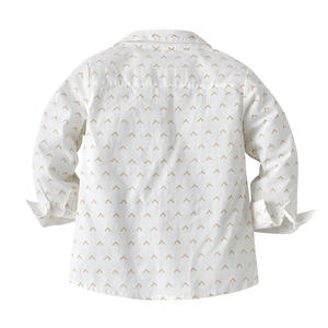 Chemises à manches longues de haute qualité + ensembles de pantalons, vente en gros en ligne, livraison, vêtements pour garçons, boutique pour enfants, ensemble 2 pièces 20B542B - Product Image 4