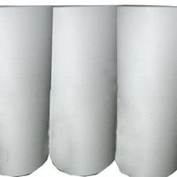 Papel Periódico Especializado de Fabricante Chino, 45 GSM, Anti-Rizo, Pulpa de Madera para Ropa, en Rollo o Hoja