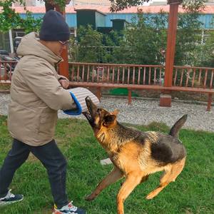 Usine Nouvelle Arrivée Jute Épaissie Chien Formation Manches Bite Pad Agilité Formation Équipement De Protection pour Berger Allemand & <span class=keywords><strong>Malinois</strong></span> - Product Image 4