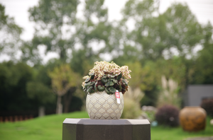 Pot de fleurs en céramique léger et écologique avec un design rustique, pot sur pied pour l'intérieur/l'extérieur, pour le jardin et la terrasse - Product Image 6