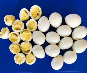 Chim cút trứng nhập khẩu từ Trung Quốc ngâm trong nước muối