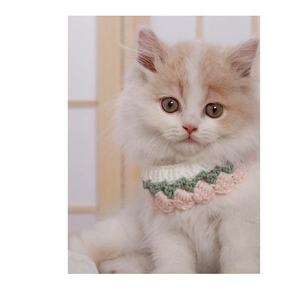 Kangdarpet-Bufanda de gato tejida a mano con diseño de estambre púrpura-amarillo y amarillo-verde-accesorios para mascotas para invierno - Product Image 6