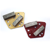 Outils de segment de meulage diamanté ASL Blastrac, disque abrasif, meulage du béton, diamant + poudre métallique, haute efficacité de meulage, OEM