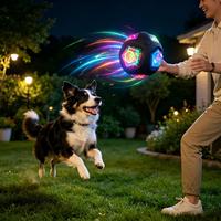 LED-Vibrationslicht-Hundeball, Quietschendes TPR Interaktives Kauspielzeug, Bissresistentes Nachtspiel-Haustierspielzeug