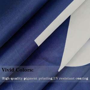 Drapeau de campagne électorale présidentielle « Take America Back » 3x5 pieds en polyester 100% de haute qualité à prix abordable – Élection présidentielle 2024 – « Enough Is Enough » - Product Image 4