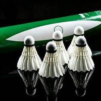Raquette de badminton hybride écologique, durable, légère, professionnelle, de niveau tournoi, tête en liège sandwich 2 couches, plumes de canard de classe A, droite